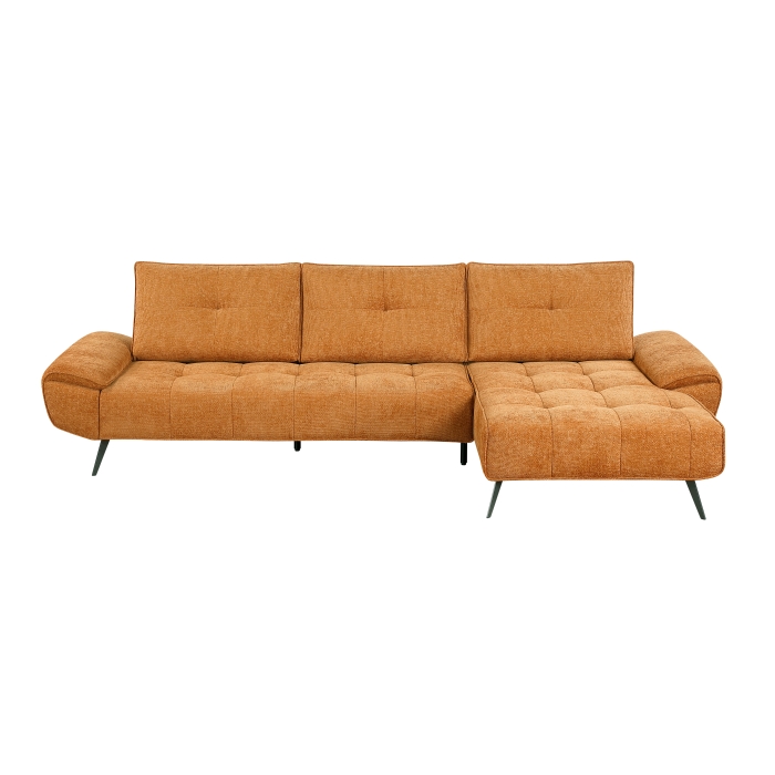 2-Piece Sectional wi
